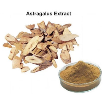 Bolinbio Featured Product-Astragalus Extract Astragaloside