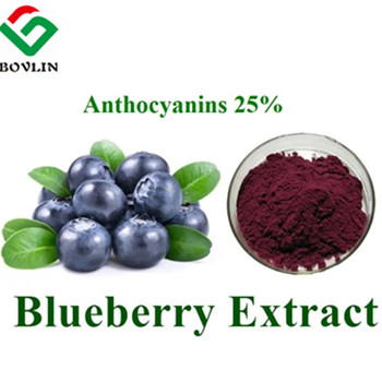 Blueberry Anthocyanins Supplements Bulk: voordelen, tips en bijwerkingen