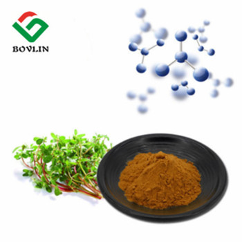Bolinbio's Postelein-extract in bulk